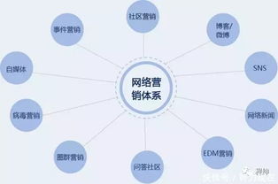 如何精準選擇App軟件外包服務(wù) 一份全面決策指南