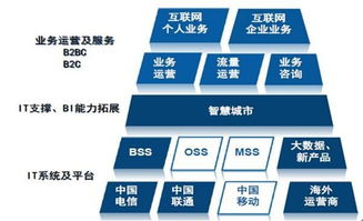 天源迪科（300047）更新研究報告 聚焦政企與運營商雙輪驅(qū)動，深化軟件外包服務布局